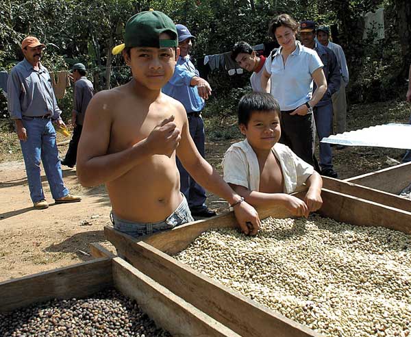 Die Rheinische Affaire ist eine Mischung aus den besten Bohnen Nicaraguas, Kolumbiens und Boliviens.