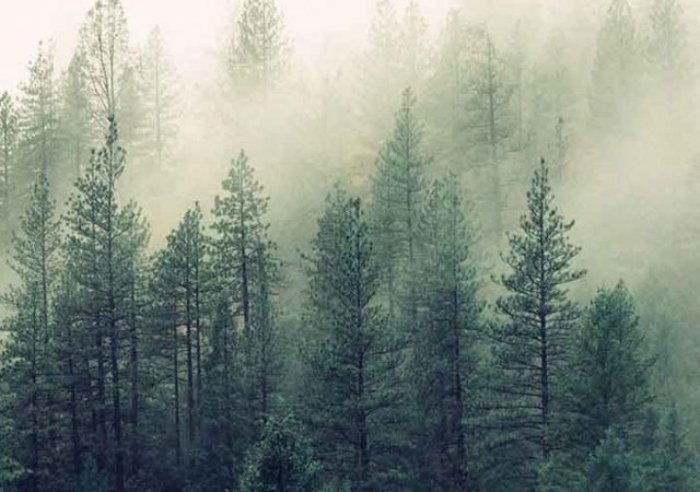 Fog is coming up